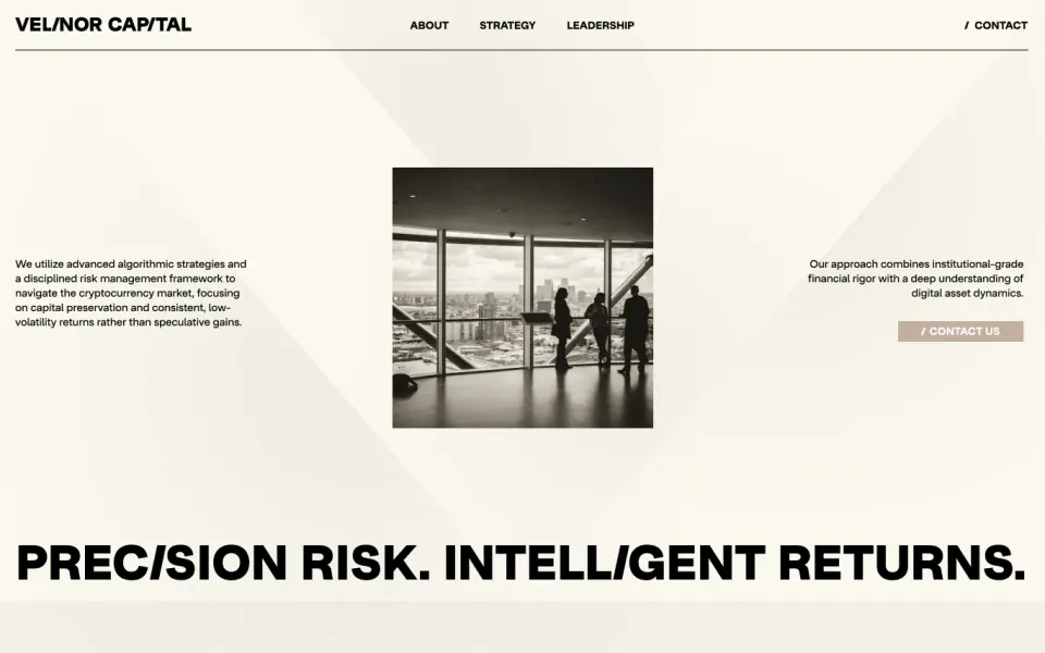 Velinor Capital website, first screen